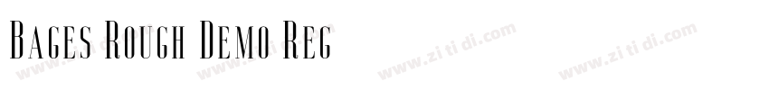 Bages Rough Demo Reg字体转换